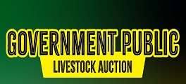 Gov Public Livestock Auction thumbnail