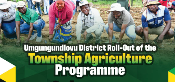 Umgungundlovu Township Agric Programme 