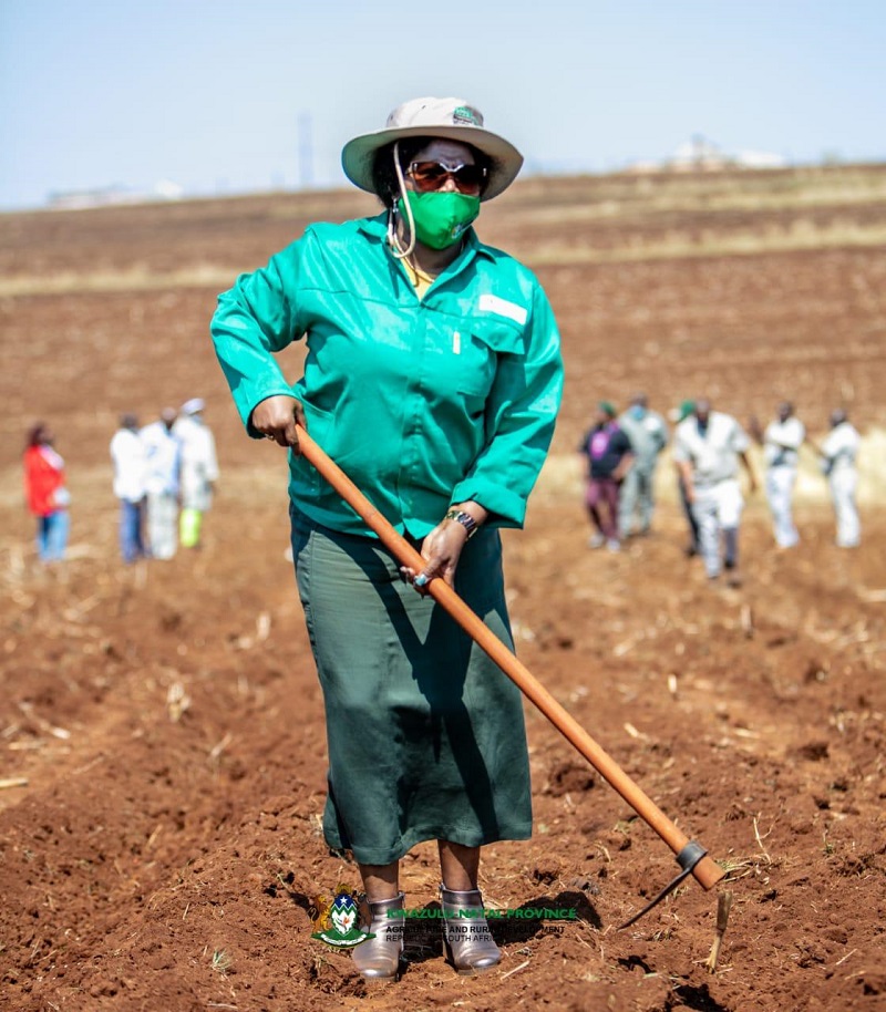 launch of 1000 housing units to be built at Ndalini uPhongolo