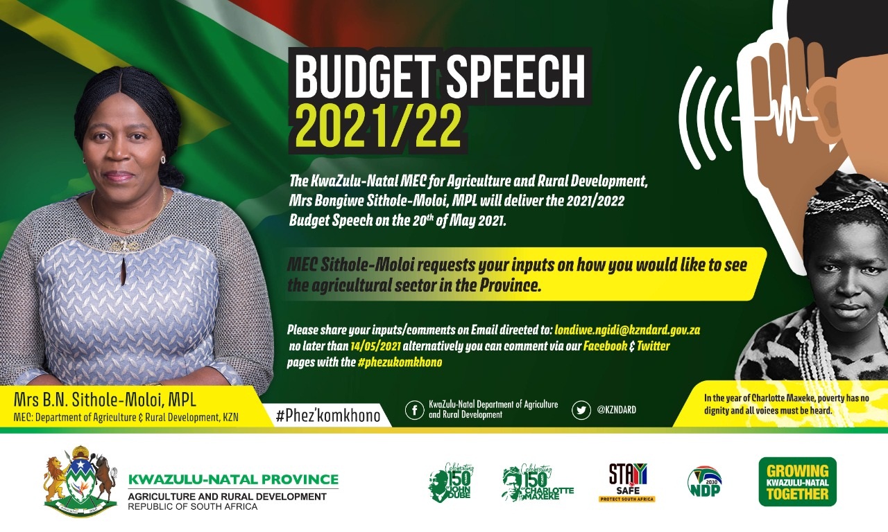 Budget Speech comments
