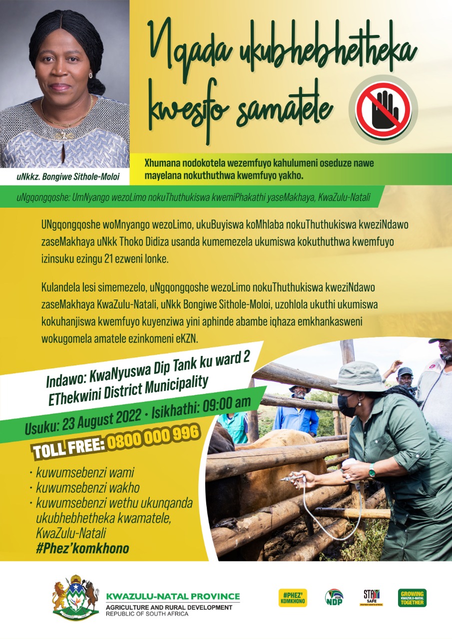 FMD vaccination drive isiZulu