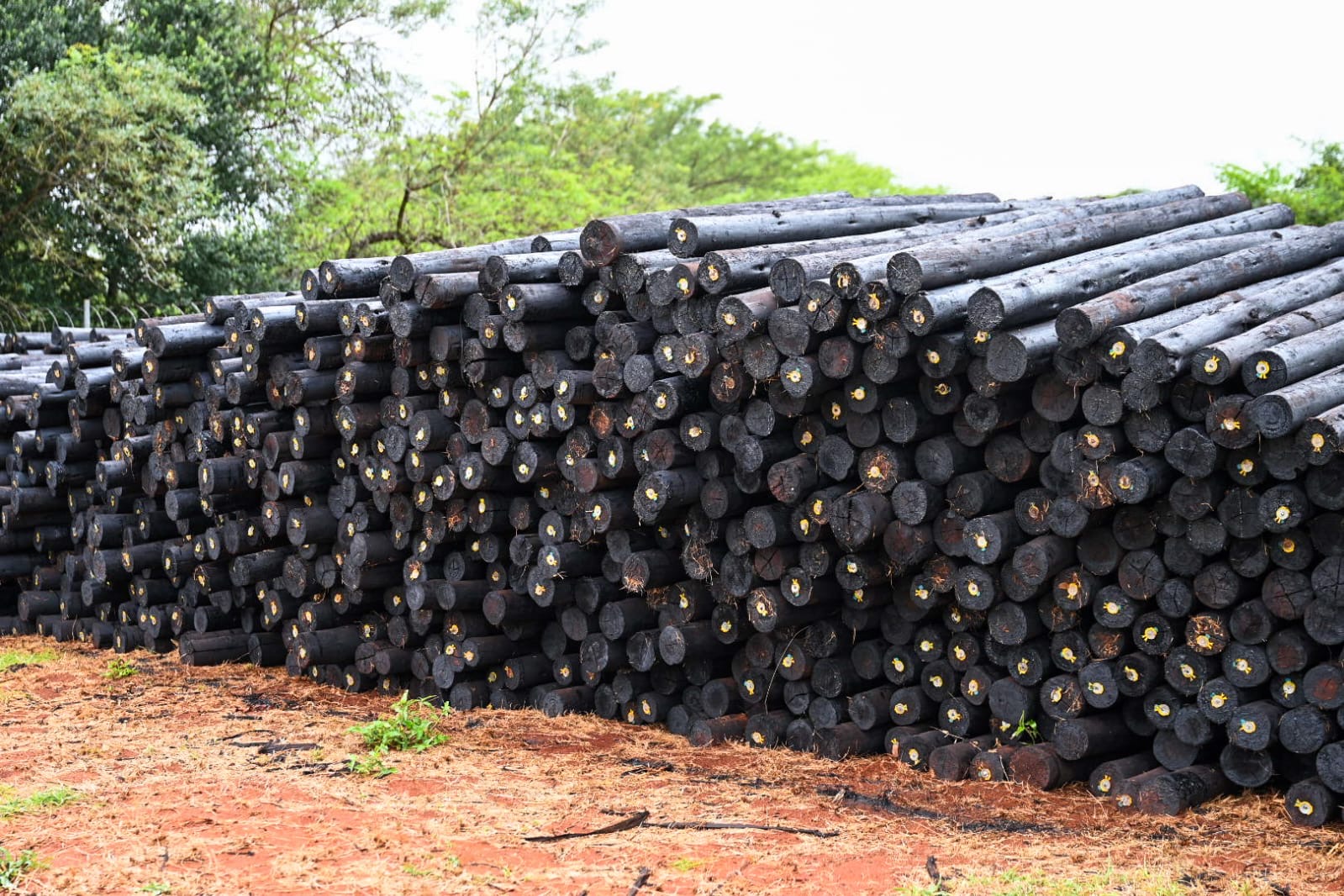 855aca11 1ffe 47be 8b02 dac6c9e5bcb3