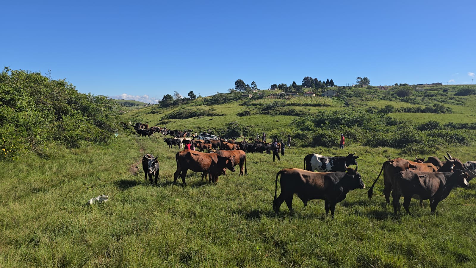 WhatsApp Image 2026 03 10 at 15.00.03 1