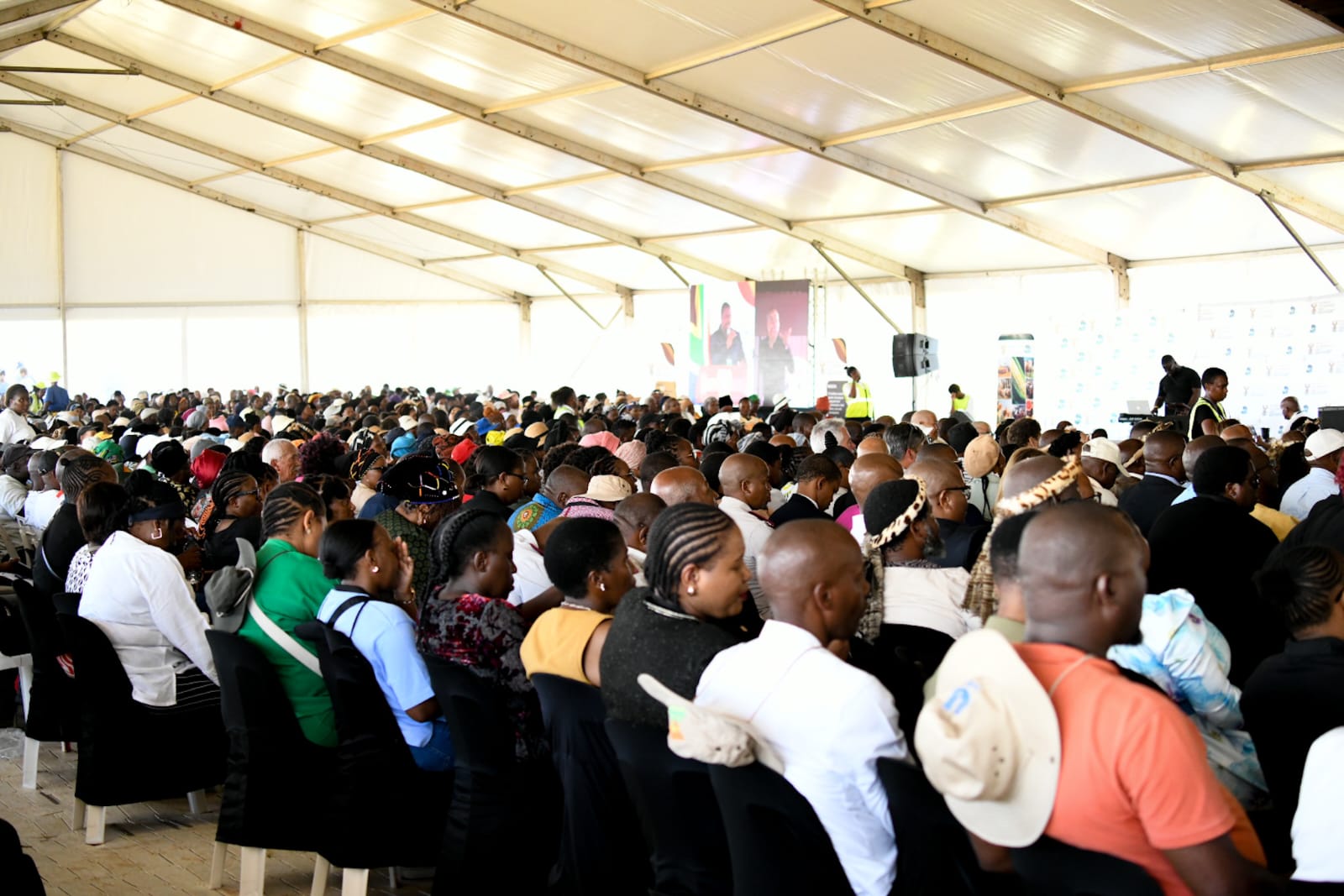 WhatsApp Image 2026 03 20 at 17.59.53 2