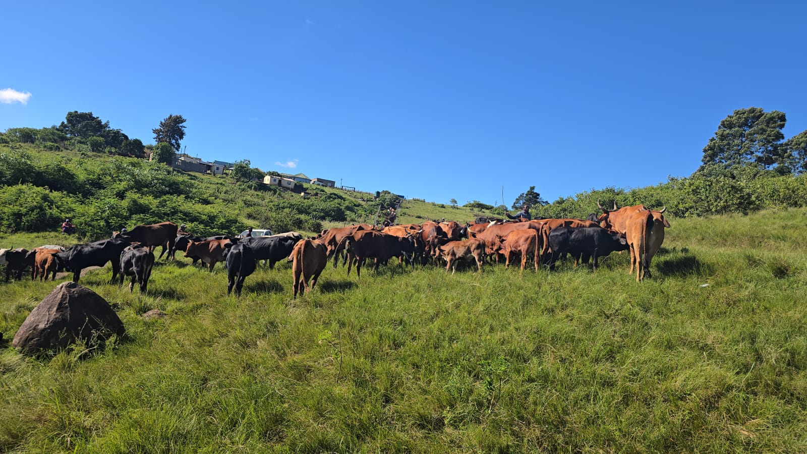 WhatsApp Image 2026 03 10 at 15.00.03