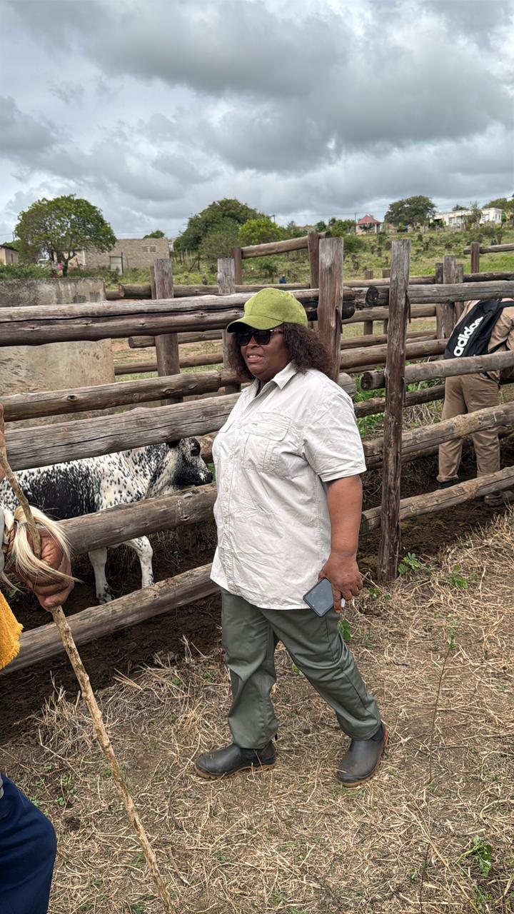 WhatsApp Image 2026 04 03 at 12.52.21