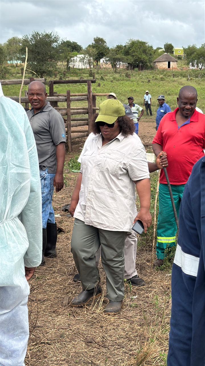 WhatsApp Image 2026 04 03 at 12.52.22