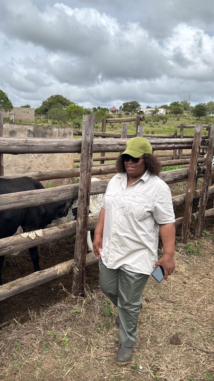 WhatsApp Image 2026 04 03 at 12.52.22 1