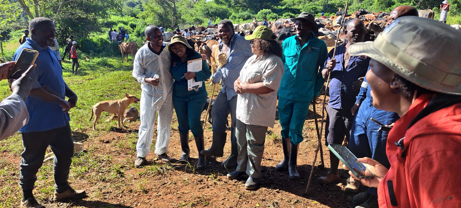 WhatsApp Image 2026 04 03 at 12.52.22 2