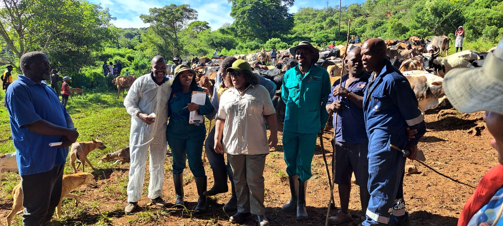 WhatsApp Image 2026 04 03 at 12.52.22 3