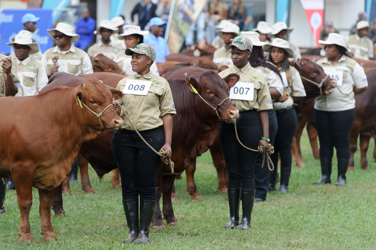 RoyalShow 078