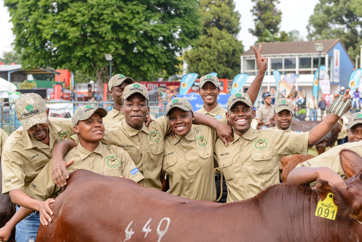 RoyalShow 168