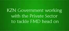 FMD Poster INTERNET