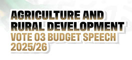Vote 3 Budget Speech 2025 26 Internet