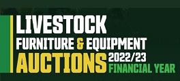 Auction 2022 2023