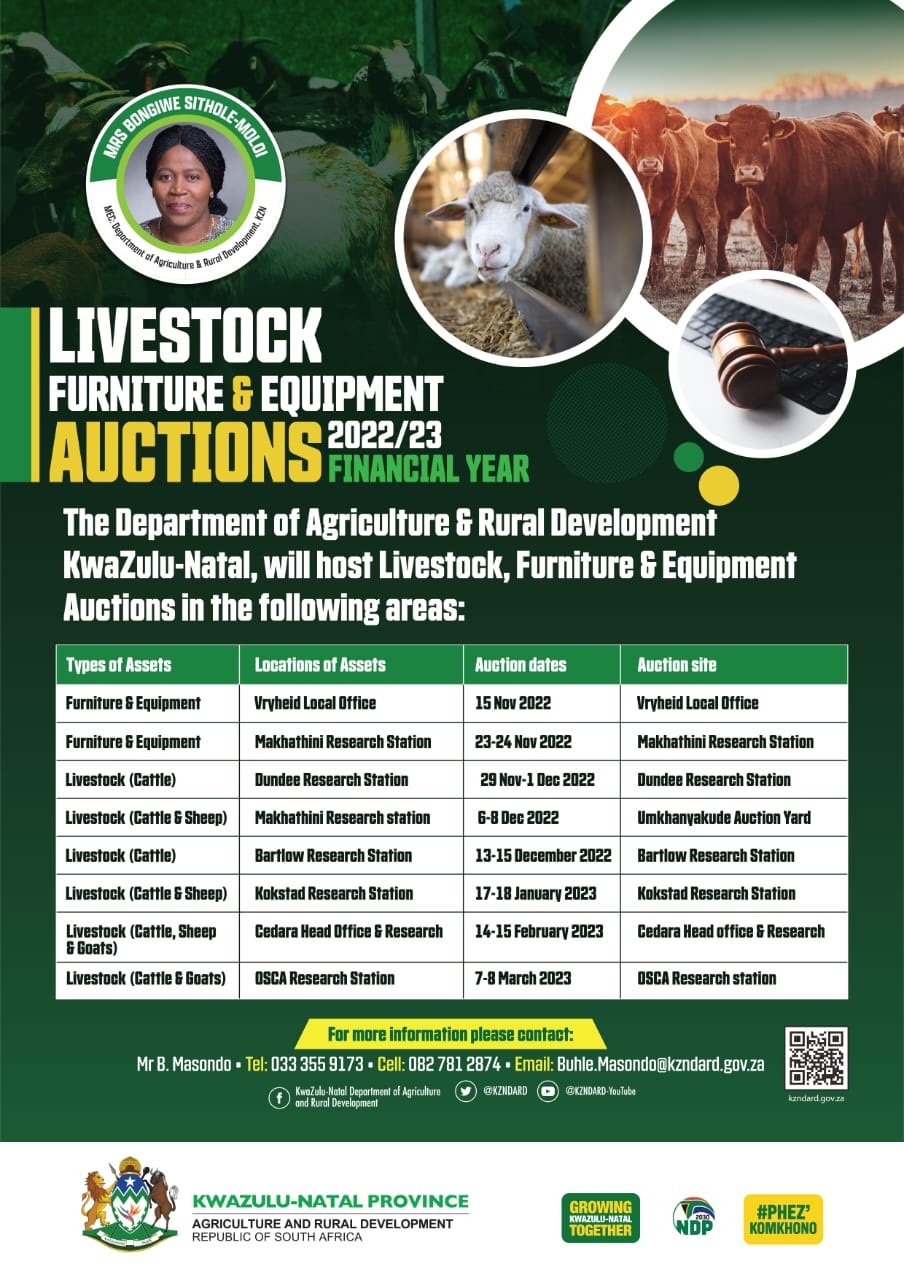 Auction poster 2022 2023