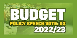 Budget Speech 2022 thumbnail2