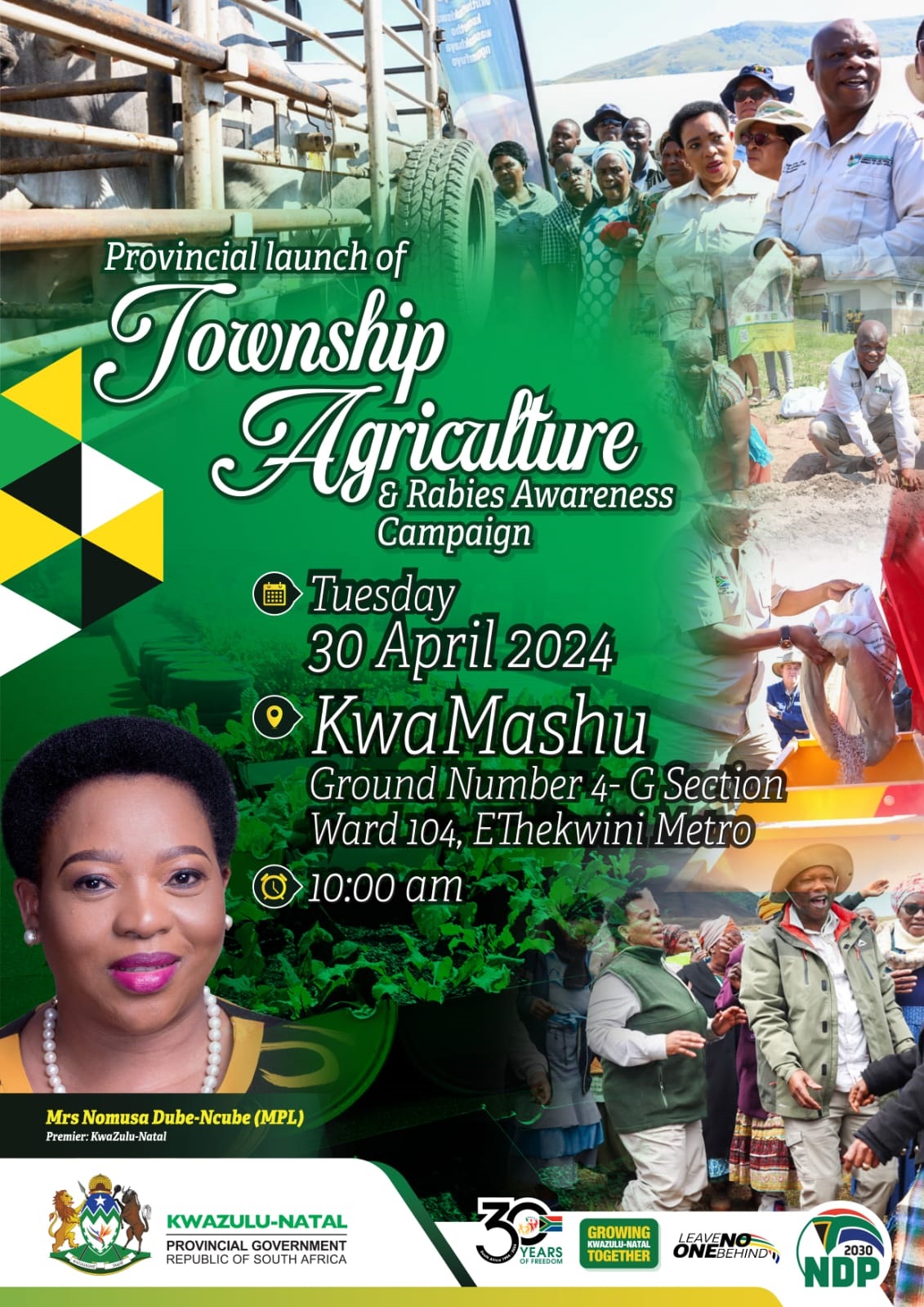 Provincial Launch of Township Agriculture