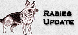 Rabies update thumbnail5