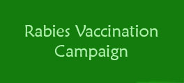 Rabies vaccinaiton campaign internet