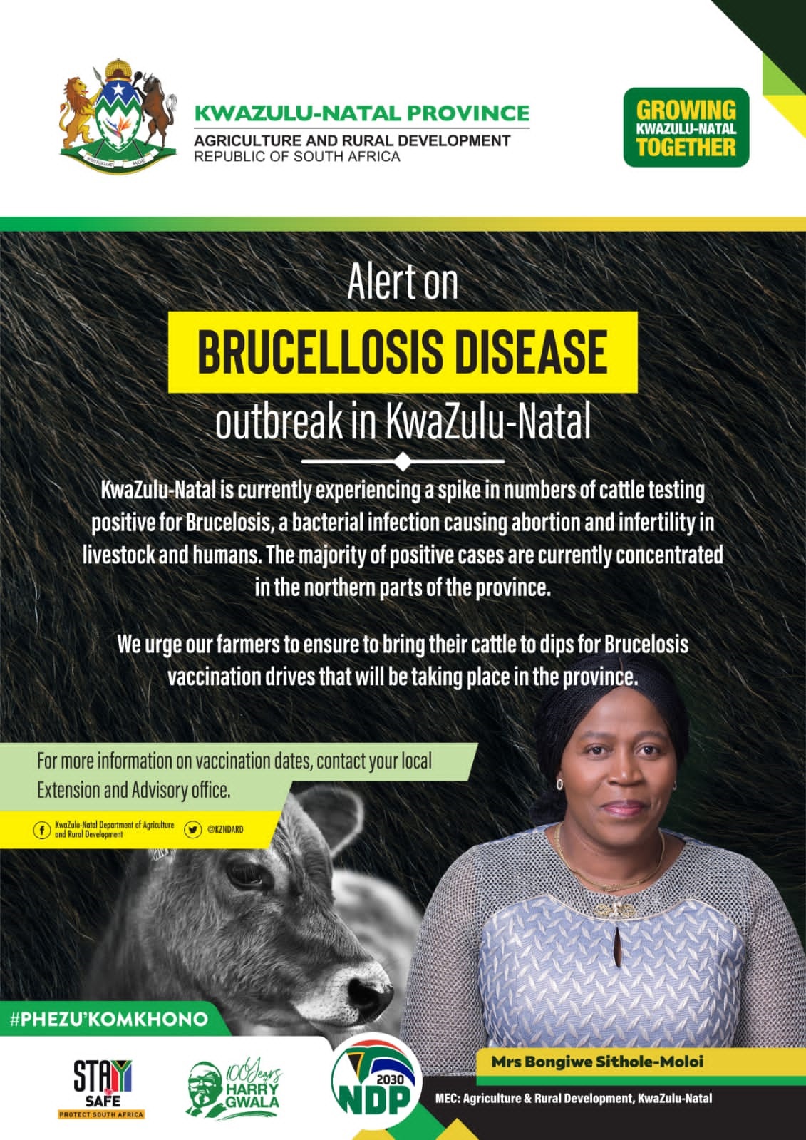 Brucellosis Disease outbreak