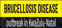 Brucellosis Disease outbreak thumbnail