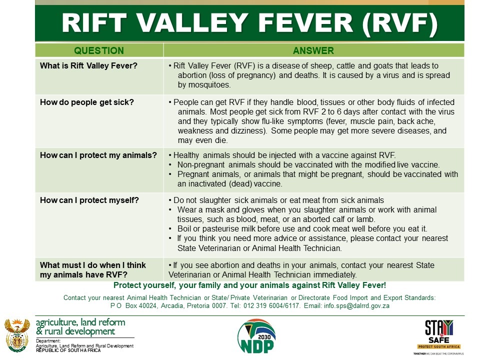 Rift Valley Fever RVF