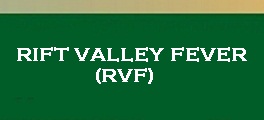 Rift Valley Fever RVF thumbnail