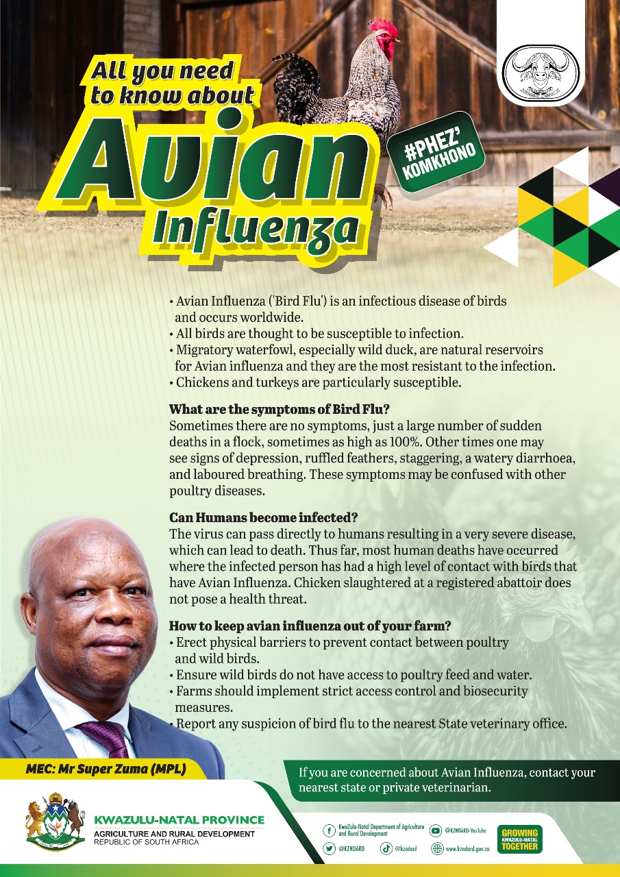 AVIAN INFLUENZA