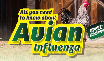 Avian Influenza thumbnail