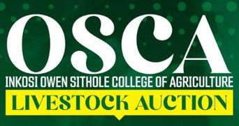 OSCA Livestock Auction thumbnail