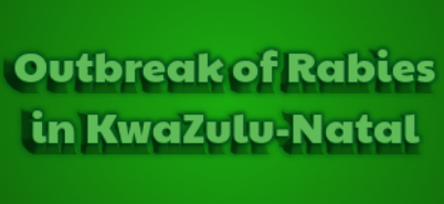 Rabies outbreak in KZN thumbnail