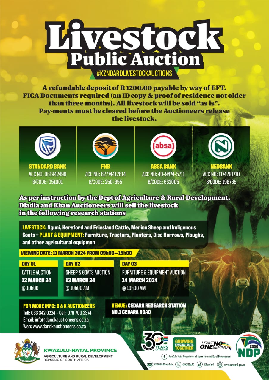 Livestock Aucion March 2024