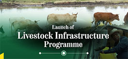Livestock infrastructure Programme thumbnail