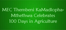MEC celebrates 100 days in agriculture internet
