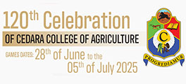 120th celebration Cedara College Internet