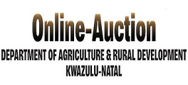 online auction internet