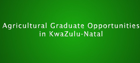 Agricultural Graduate Opportunities in KwaZulu Natal thumbnail