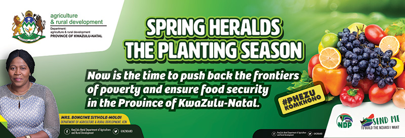 Spring heralds the planting season Eng